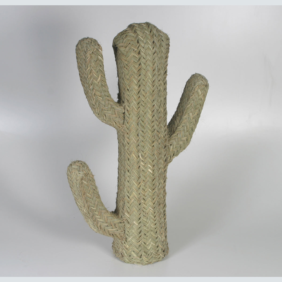 Cactus de esparto de 80cm