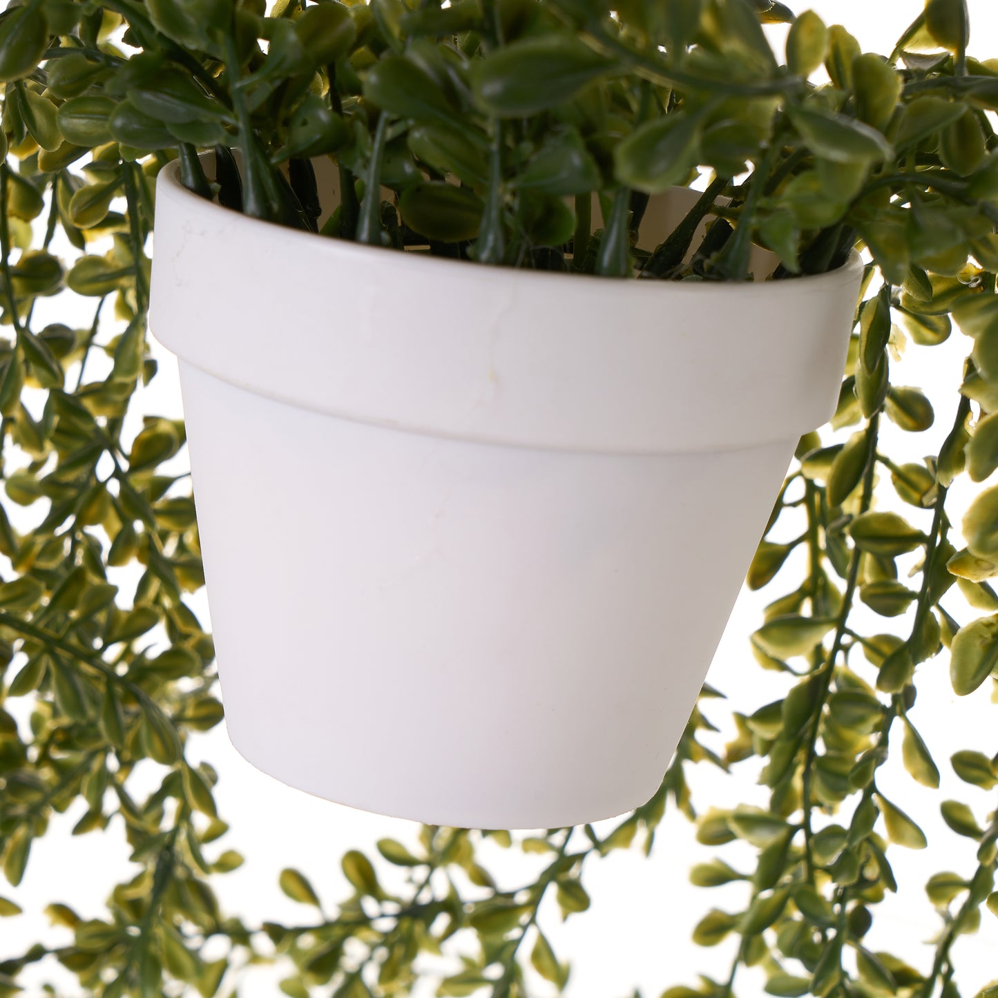 Planta colgante plastico 20*20*65cm