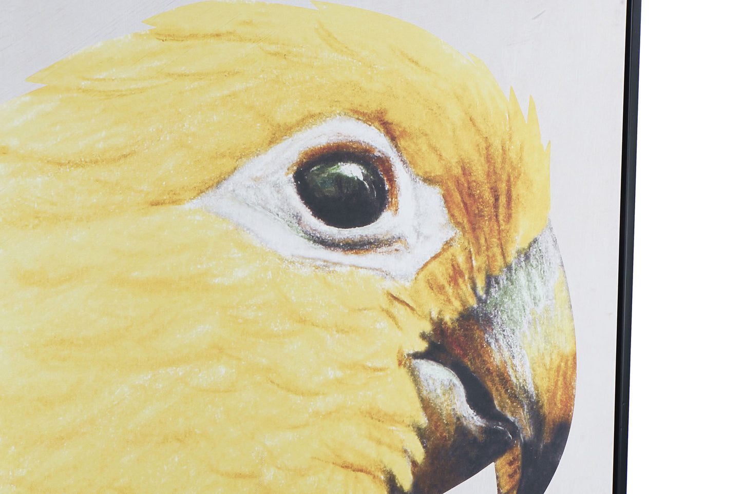 Cuadro ps 103*4.2*143cm X 2pcs loro enmarcado