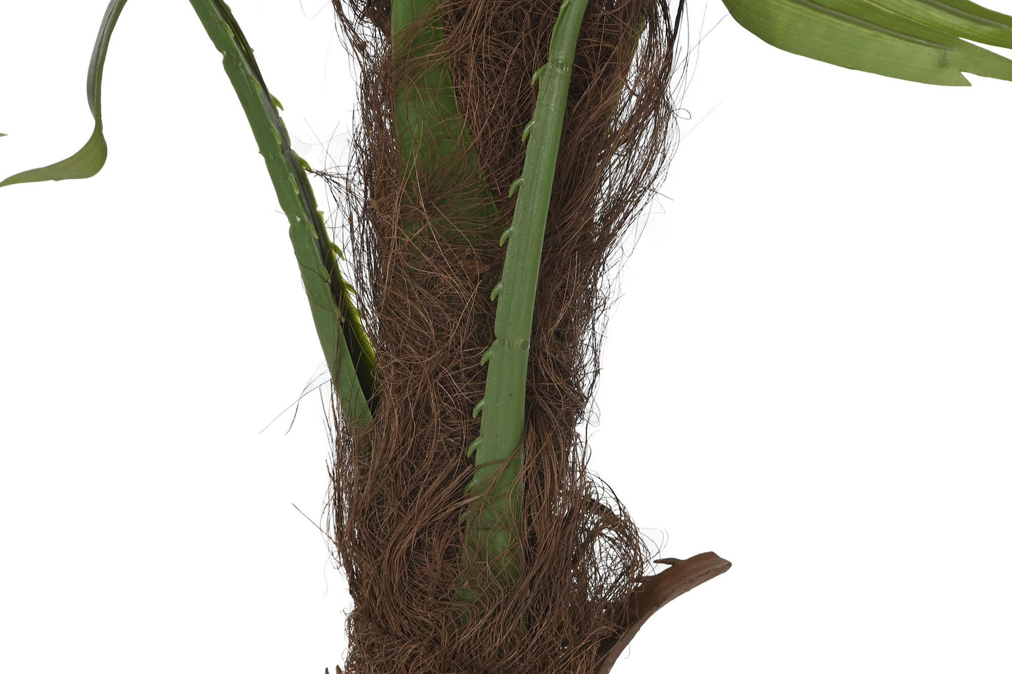 Planta pe 50*50*120cm palmera fan verde
