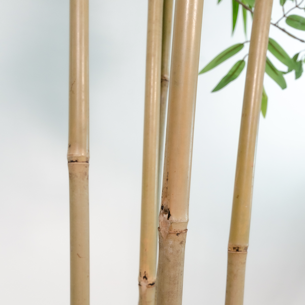 Arbol bambu poliester 80*80*180cm bambu verde