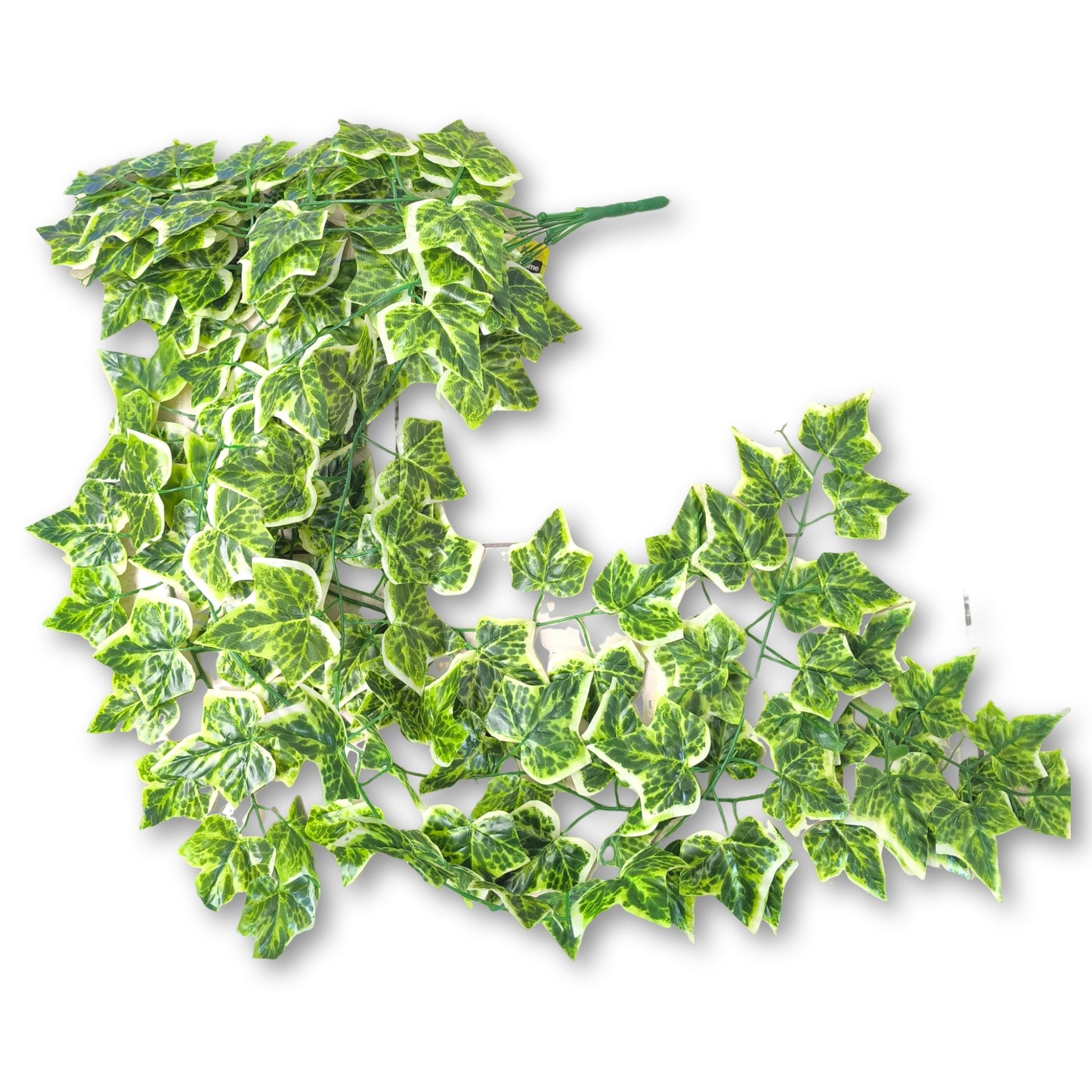 Planta colgante 100cm