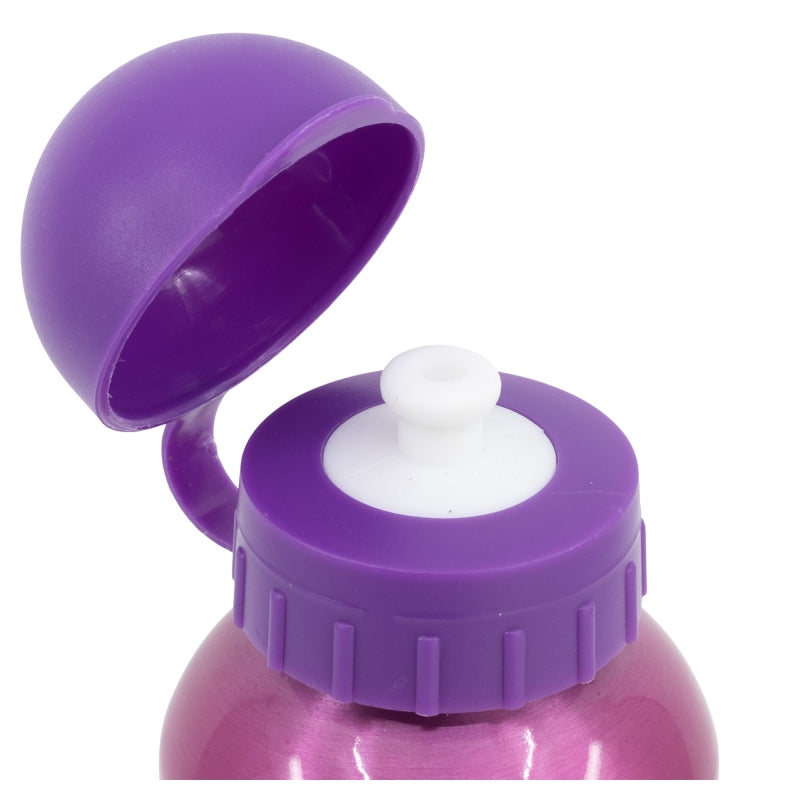 Botella aluminio 500ml Princesas