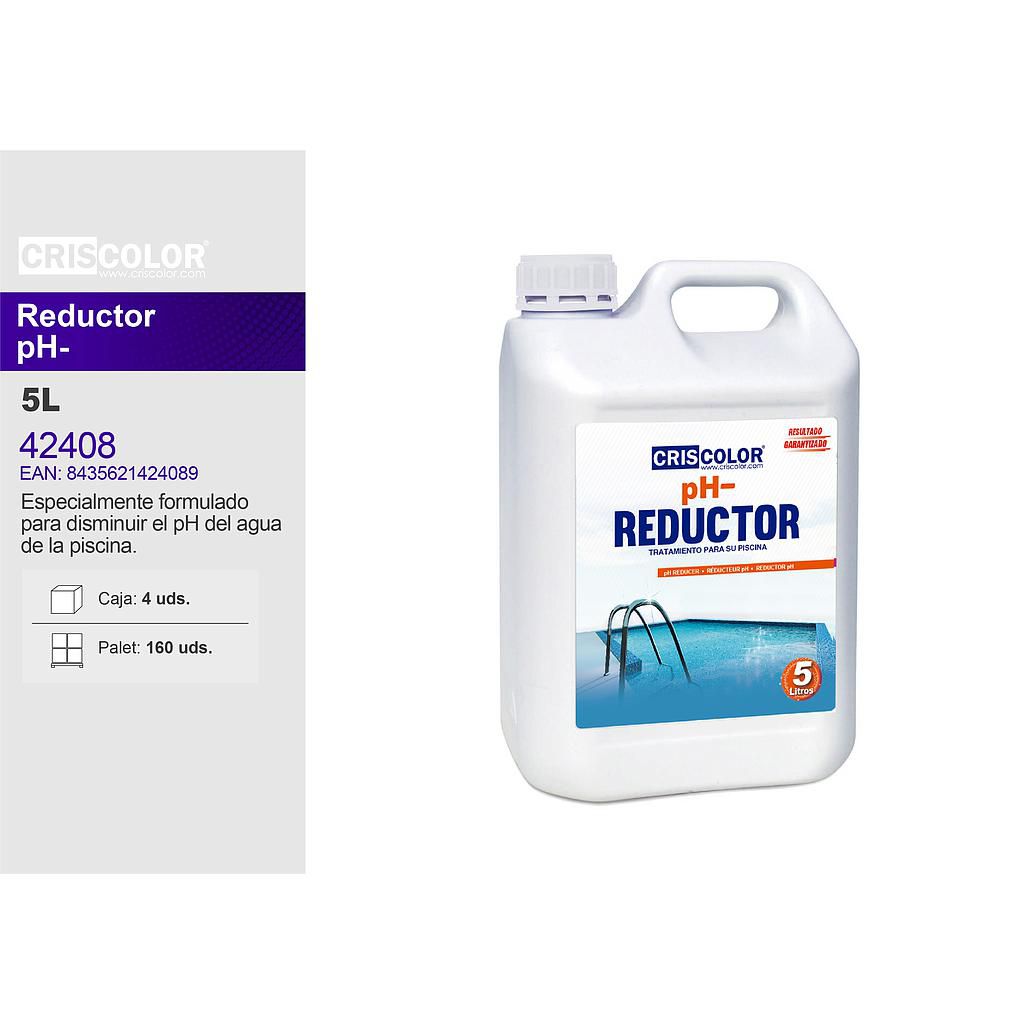 Reductor ph 5L