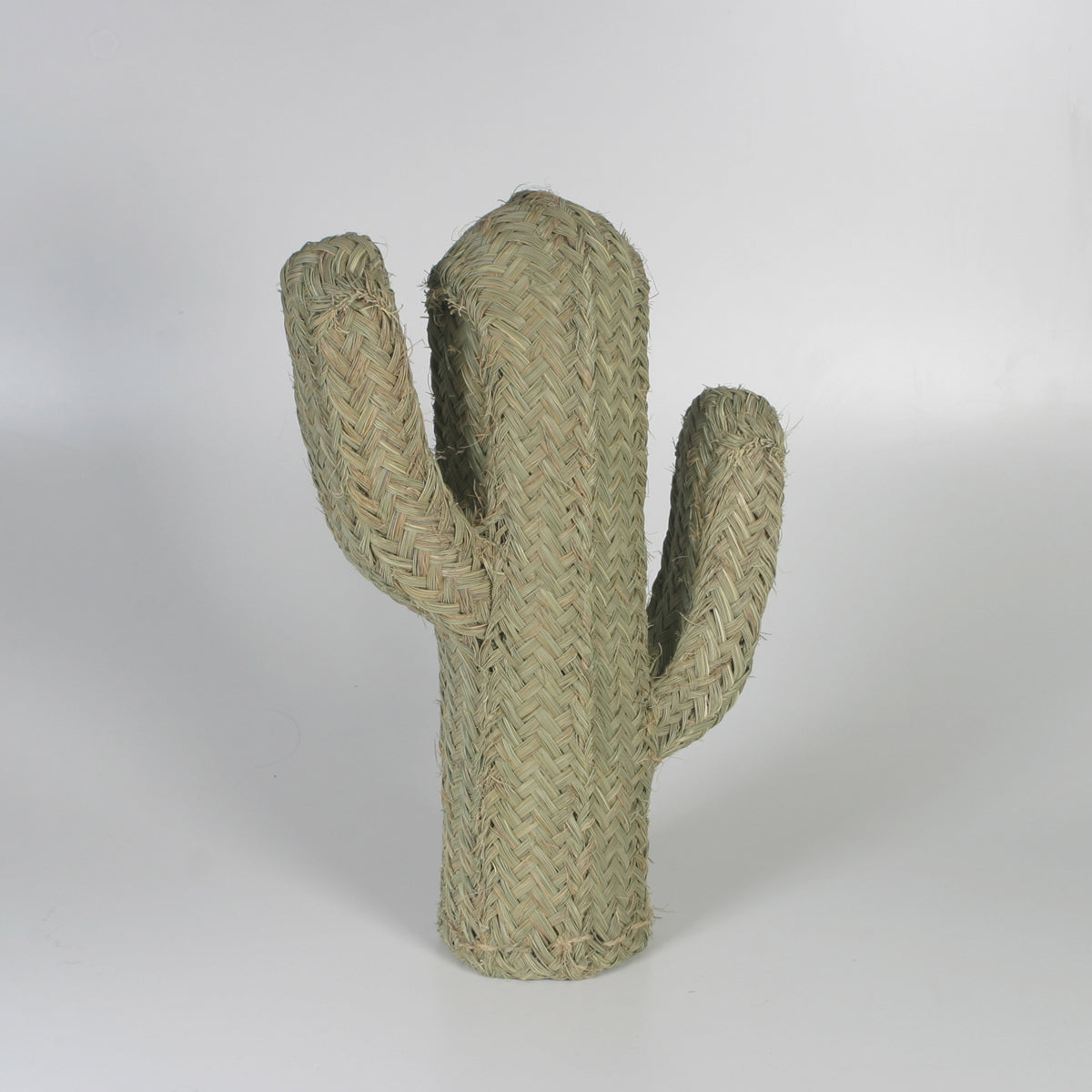 Cactus de esparto de 60cm