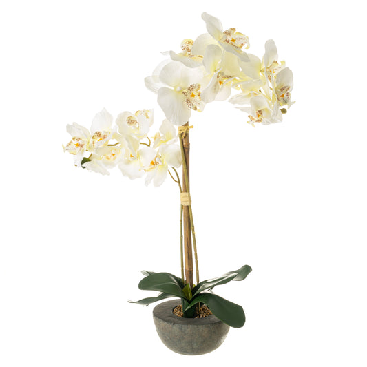 Planta orquidea poliester 14*14*57cm