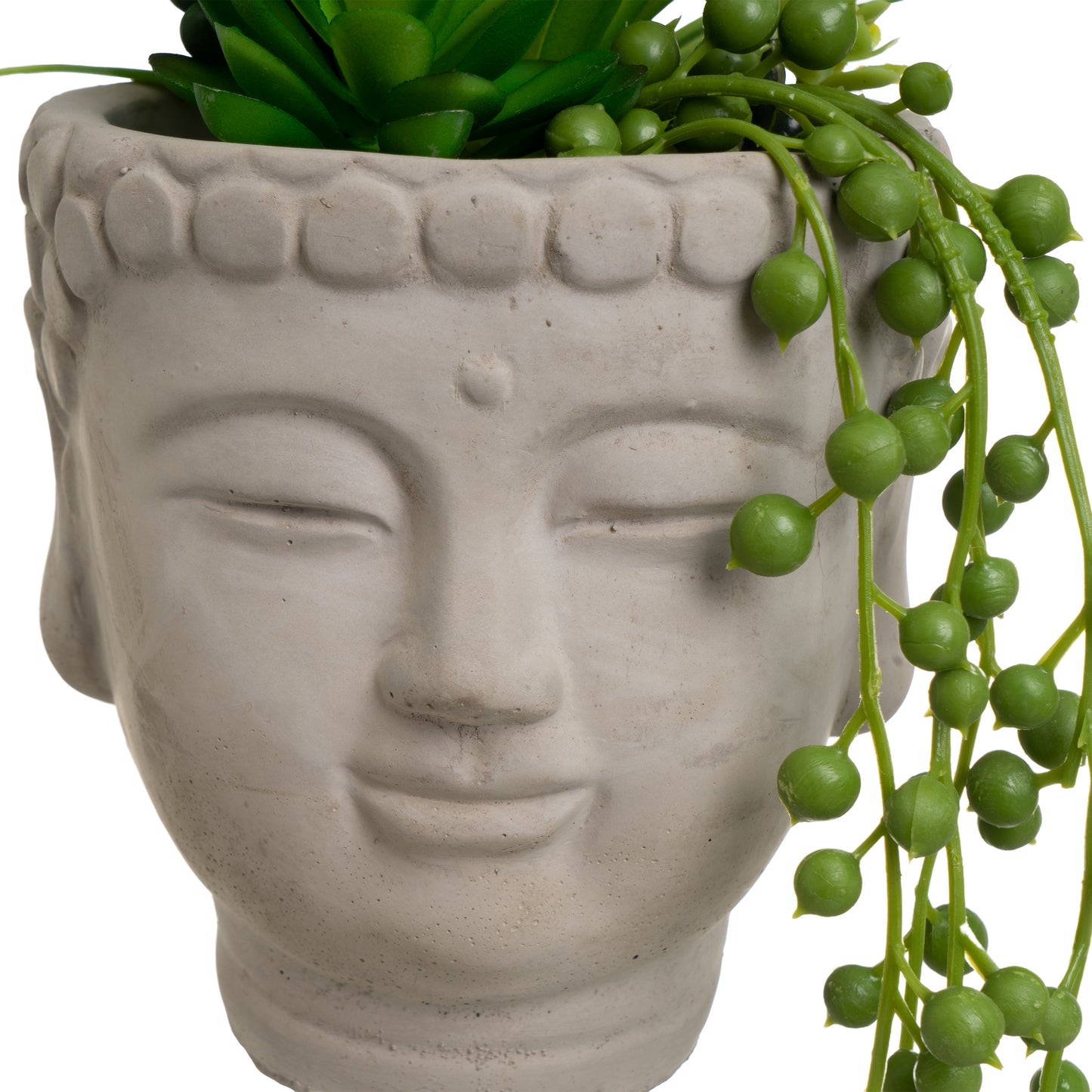 Planta caturs buda 13*13*20cm