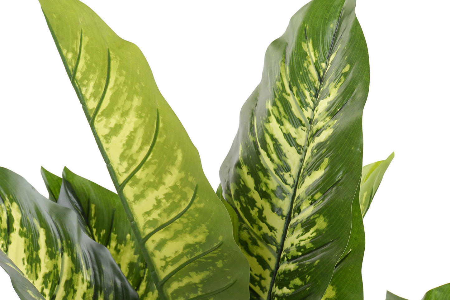 Planta pvc 75*72*120cm dieffenbachia verde