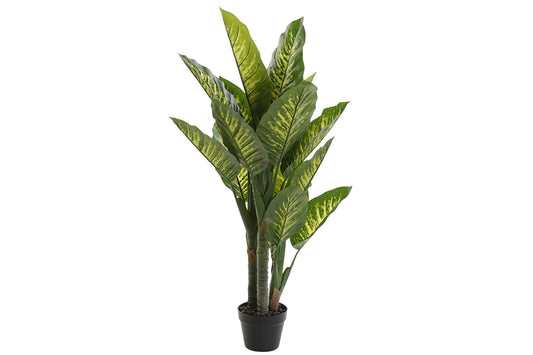 Planta pvc 75*72*120cm dieffenbachia verde