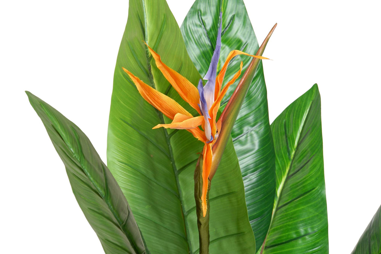 Planta pvc 100*100*145cm strelitzia