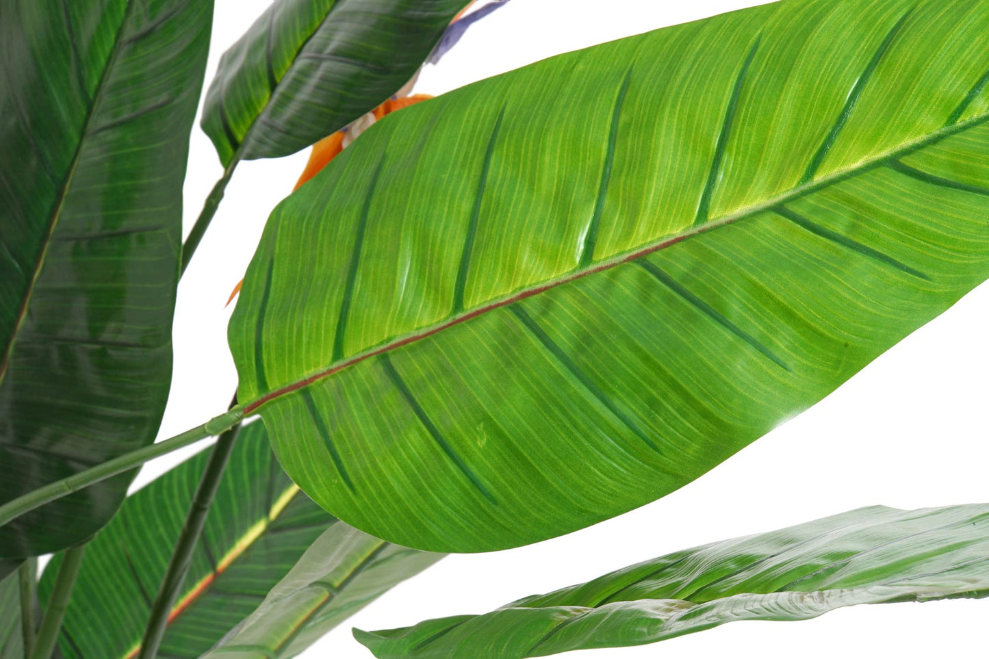 Planta pvc 100*100*145cm strelitzia