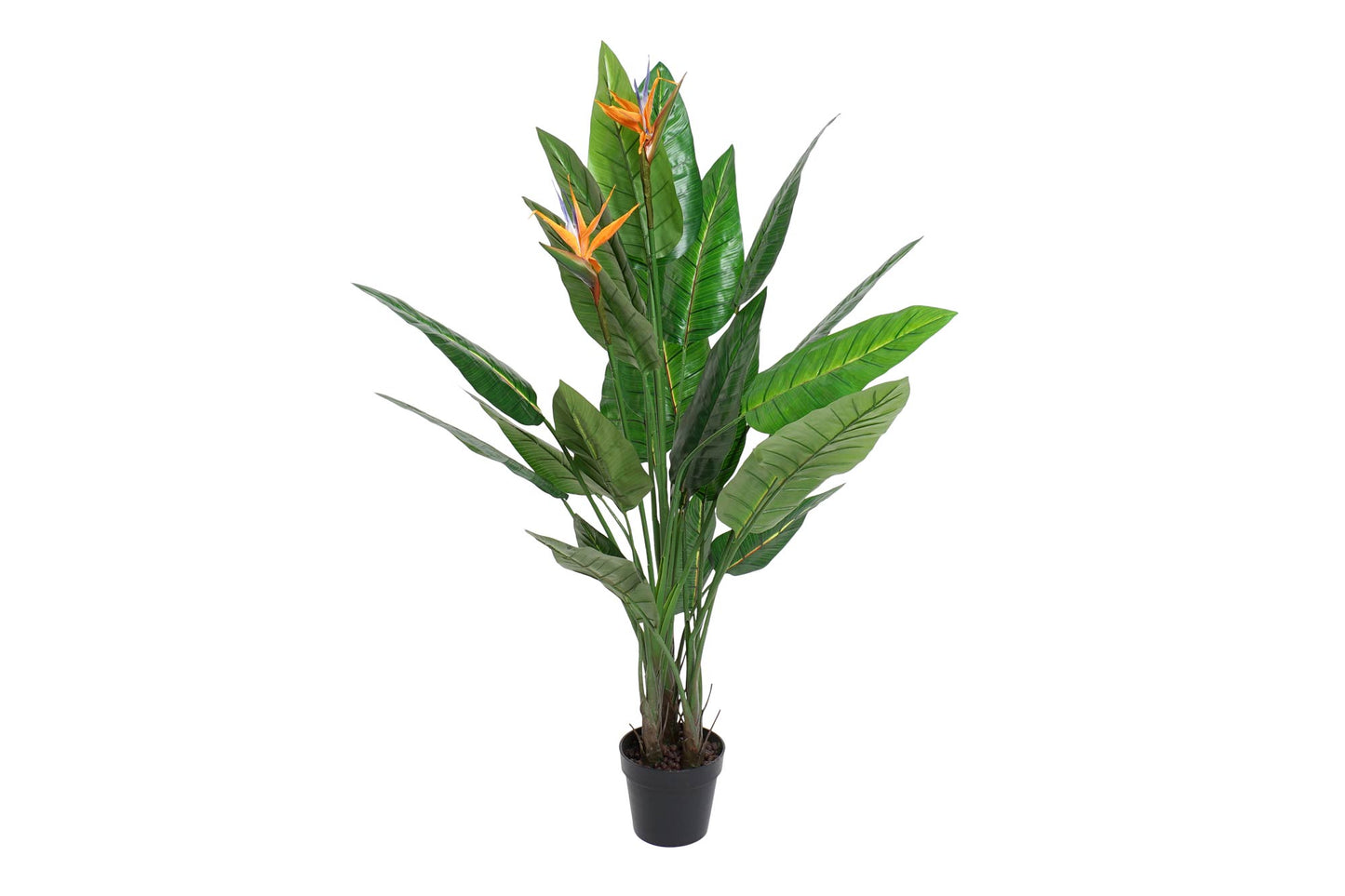 Planta pvc 100*100*145cm strelitzia