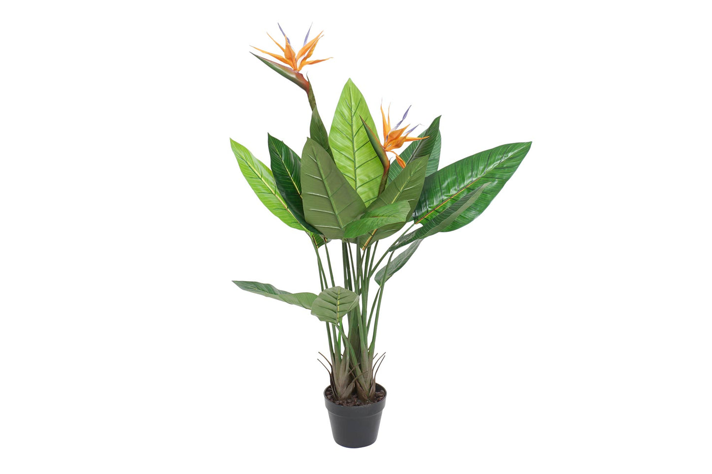 Planta pvc 80*80*120cm strelitzia