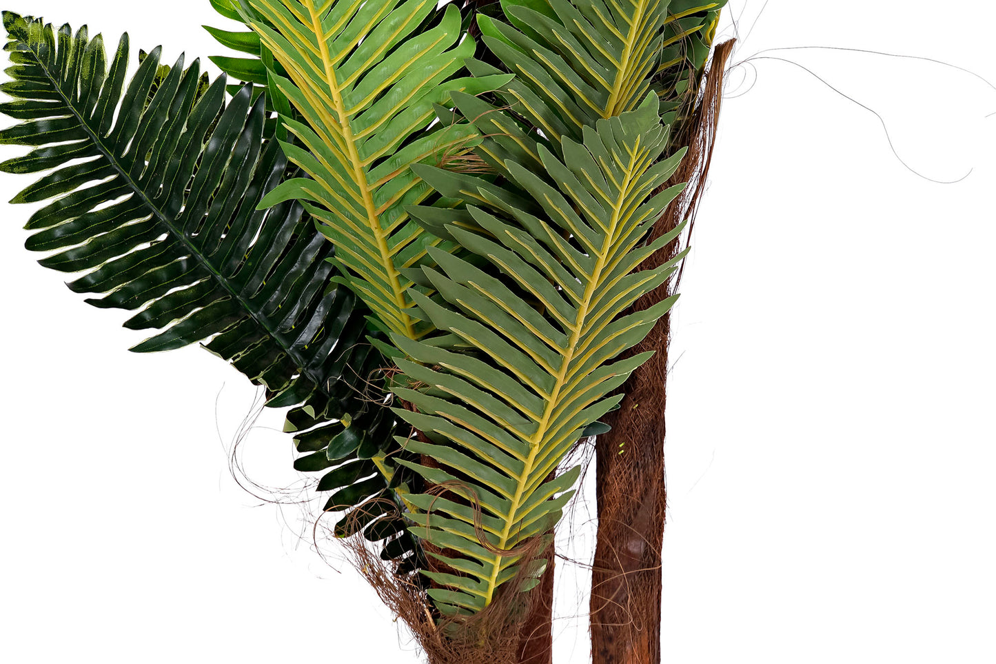 Planta pe 40*40*150cm palmera verde