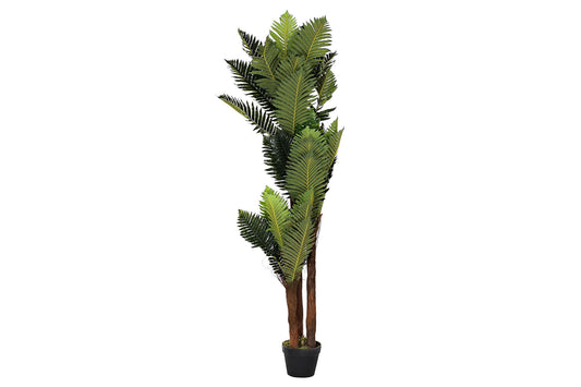 Planta pe 40*40*150cm palmera verde