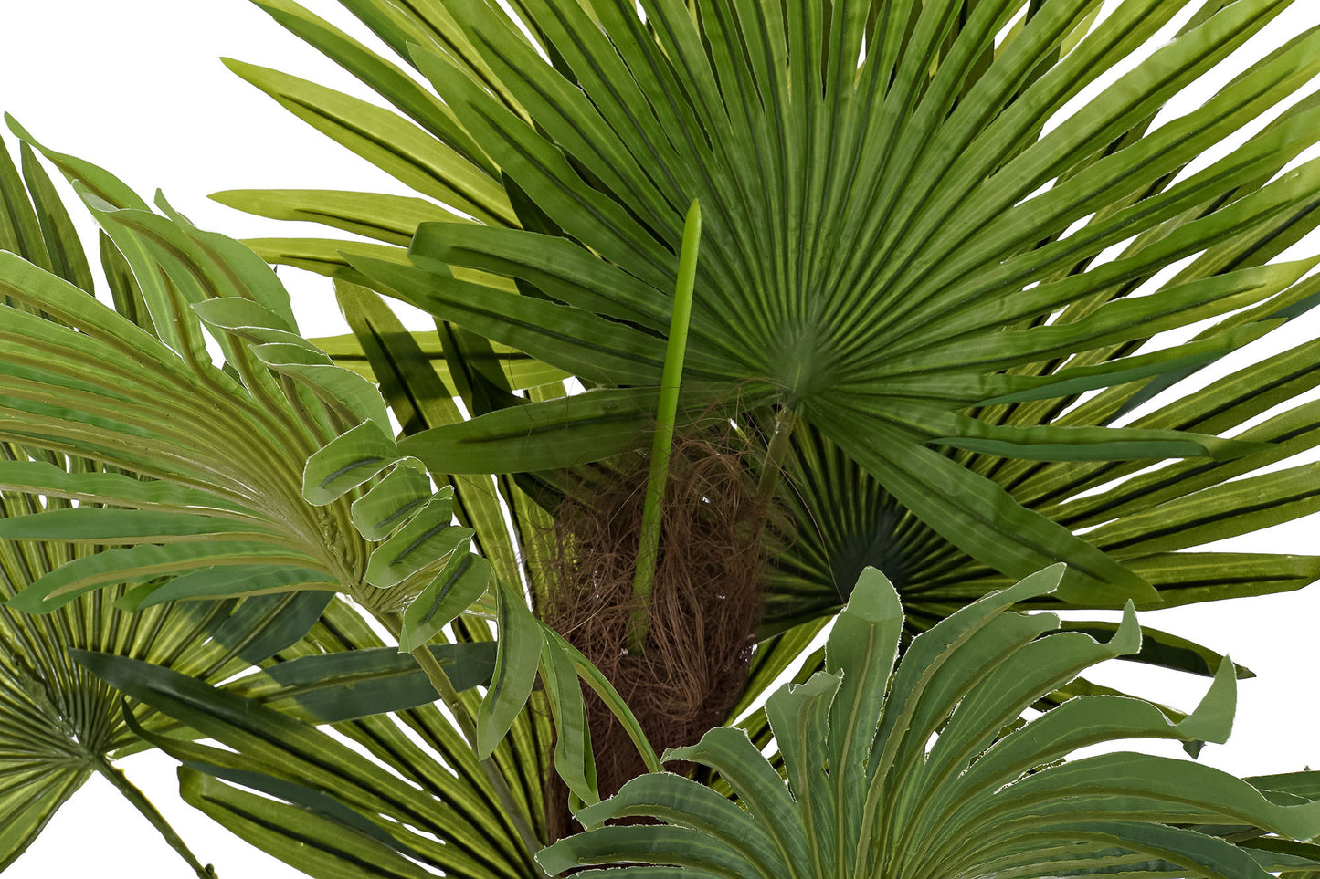 Planta pe 40*40*90cm palmera verde