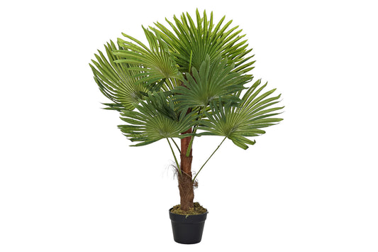 Planta pe 40*40*90cm palmera verde