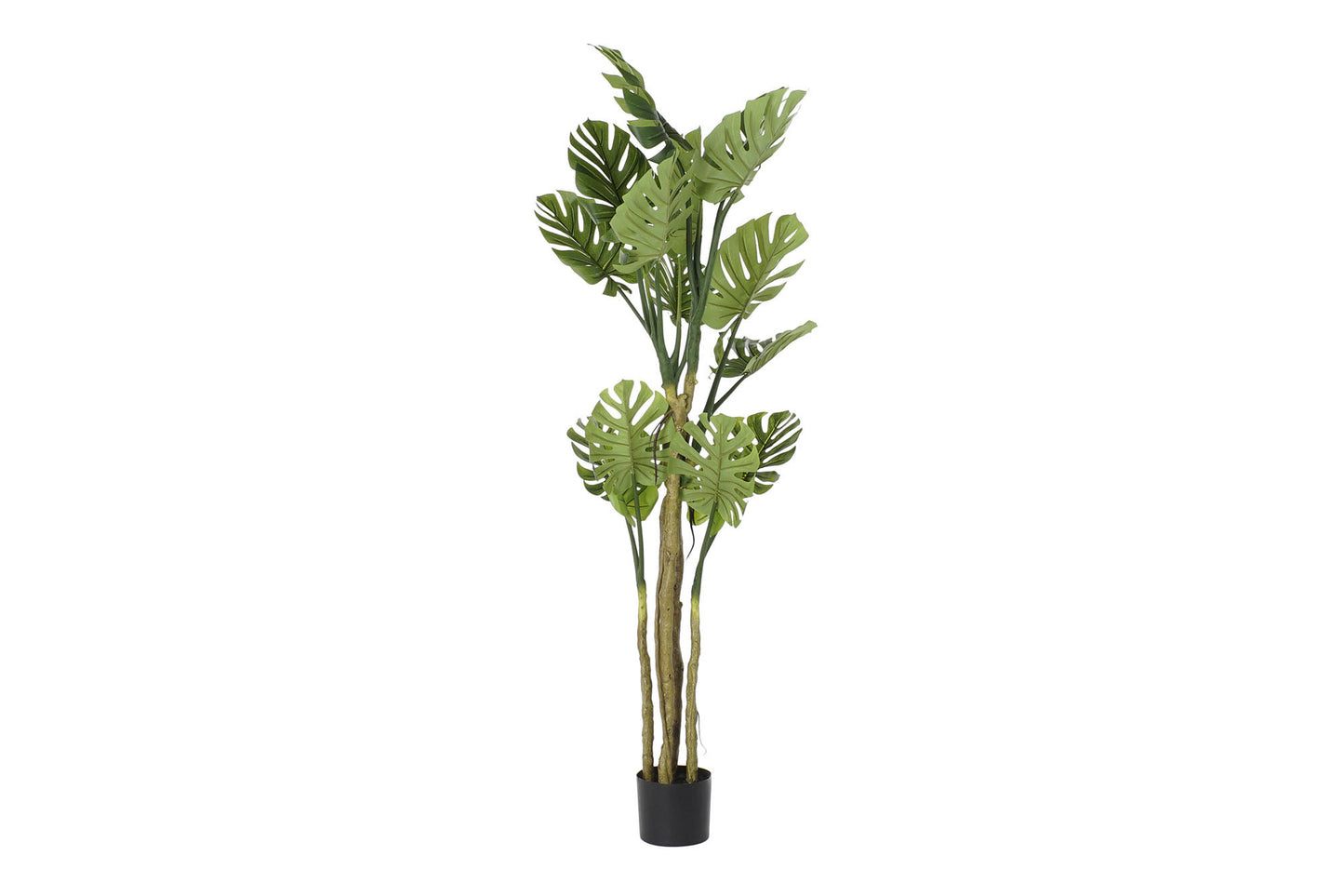 Arbol poliester pp 75*75*180cm monstera verde