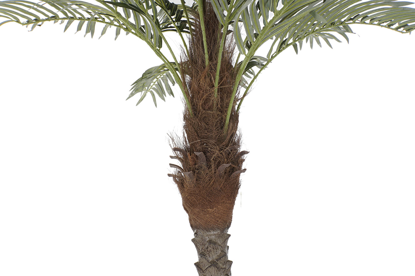 Arbol poliester pp 100*100*230cm palmera datilera