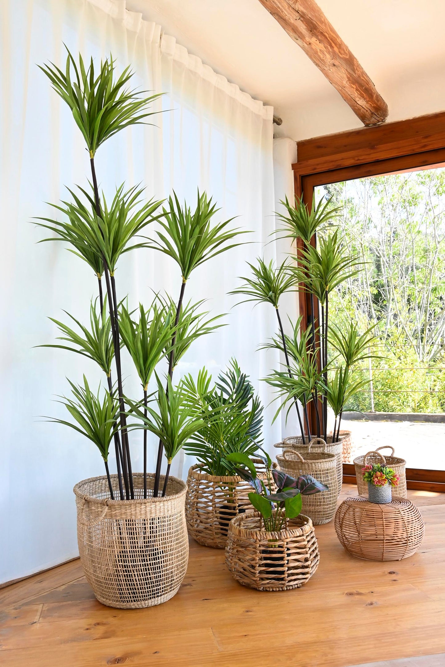 Planta poliester pp 75*75*180cm dracena verde