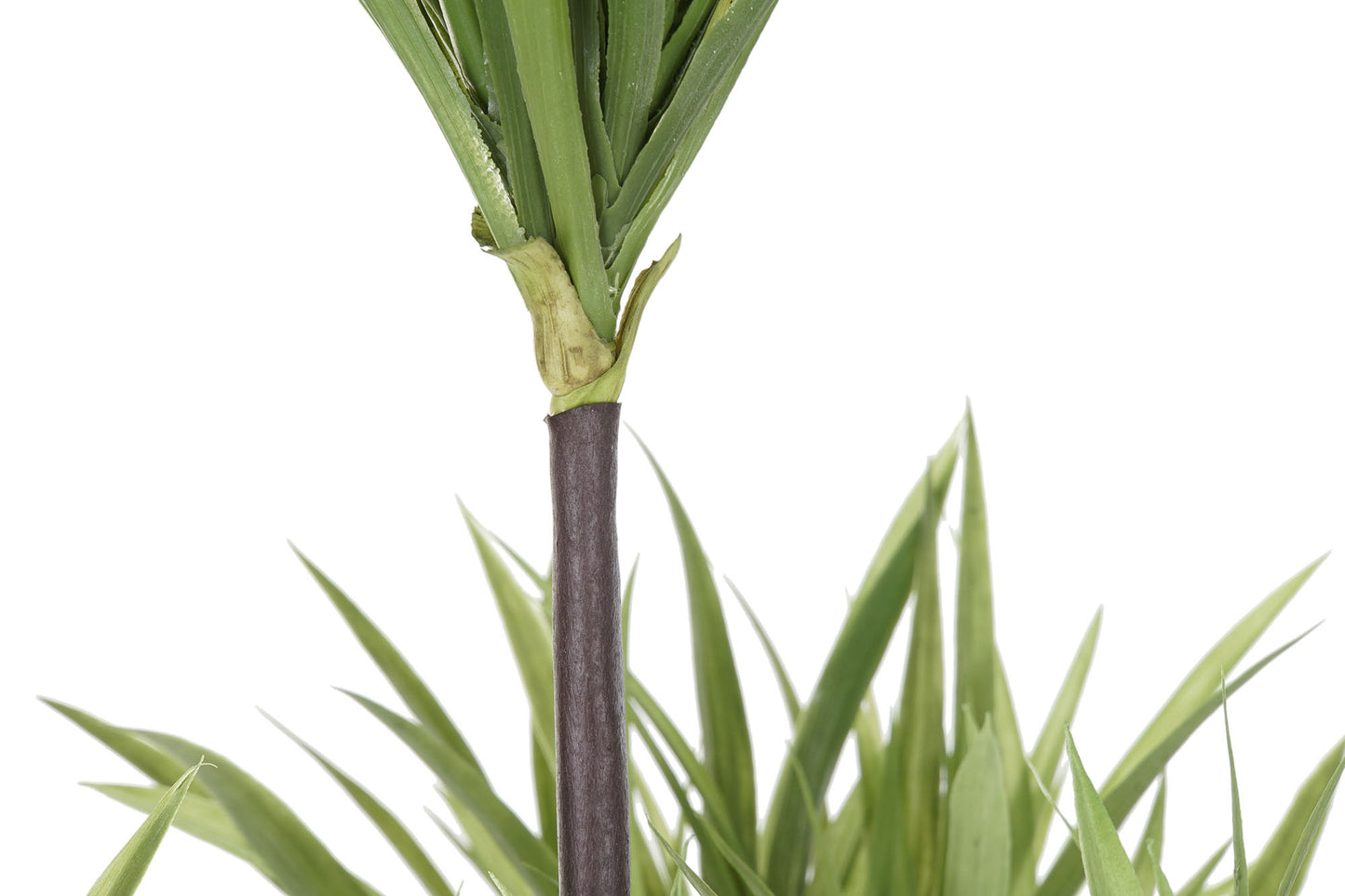 Planta poliester pp 75*75*180cm dracena verde