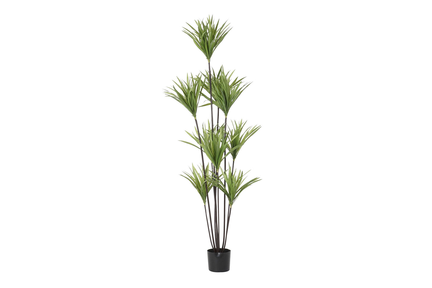 Planta poliester pp 75*75*180cm dracena verde