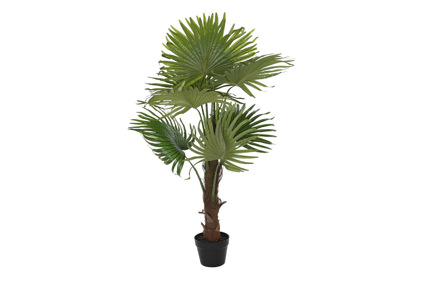 Planta pe 50*50*120cm palmera fan verde