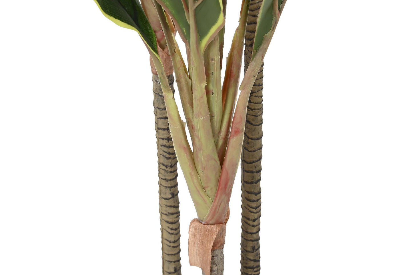 Planta pe 50*50*120cm dracena verde