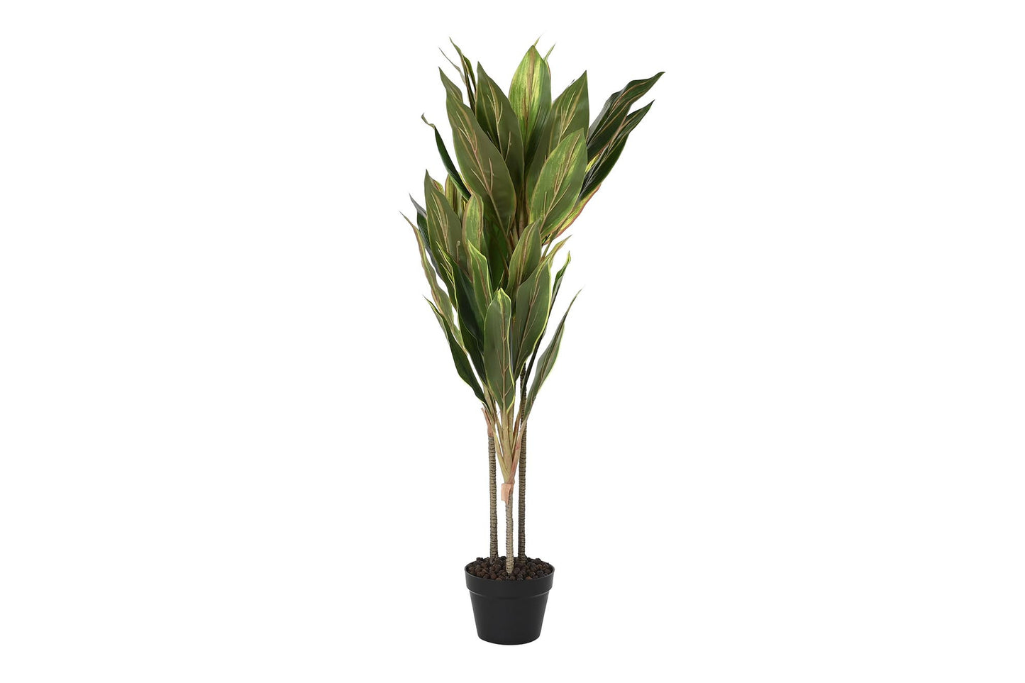 Planta pe 50*50*120cm dracena verde