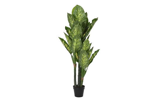 Planta pe 50*50*150cm dieffenbachia verde