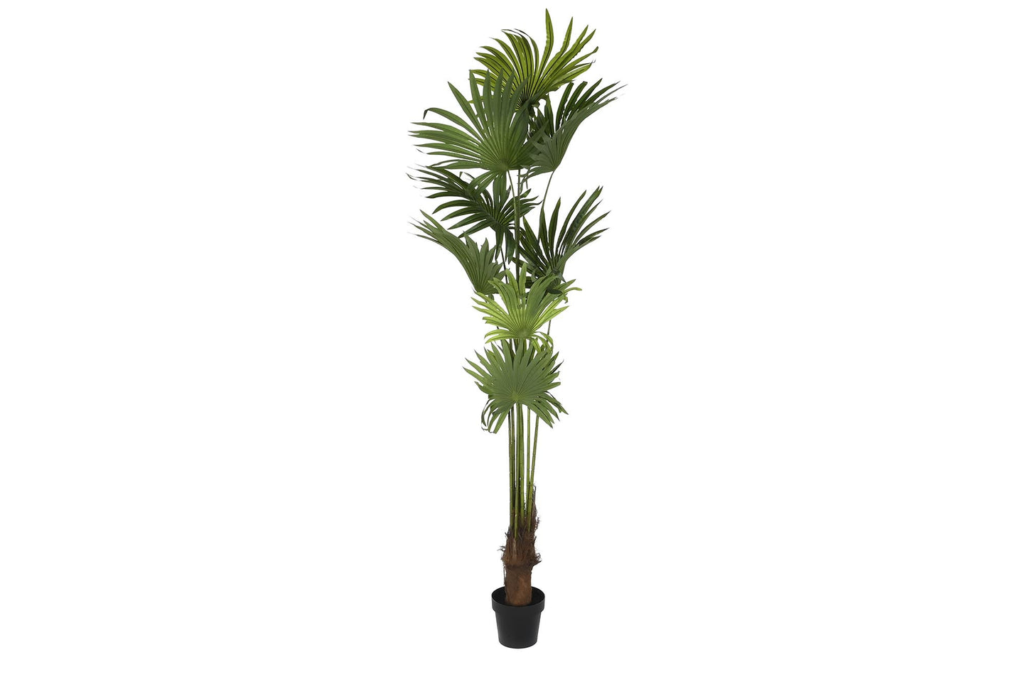 Planta poliester pp 90*90*210cm palmera verde