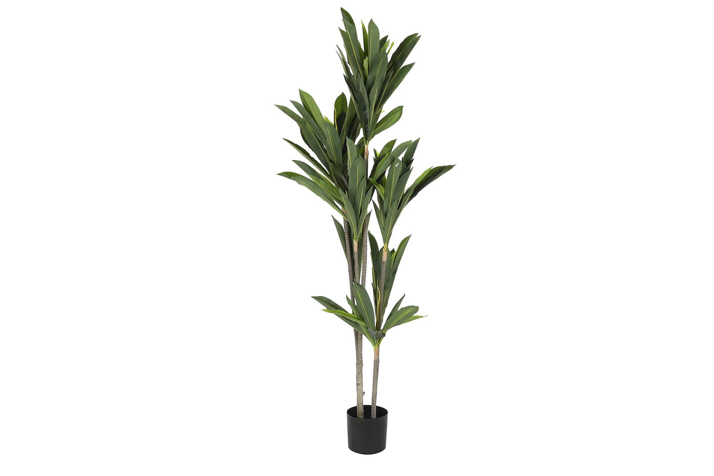 Planta poliester pp 90*90*200cm dracena verde