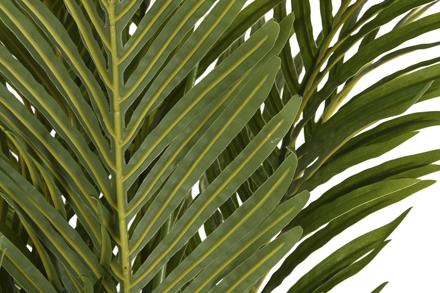 Planta poliester pp 60*60*170cm palmera verde