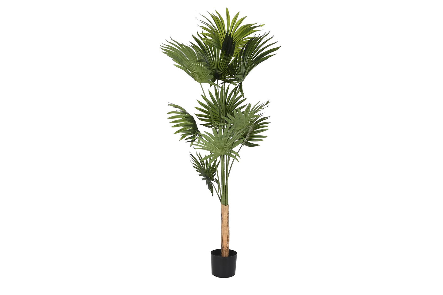 Planta poliester pp 80*80*180cm palmera verde