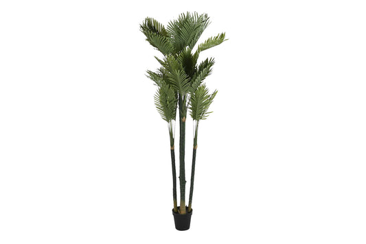 Planta poliester pp 100*100*230cm palmera verde