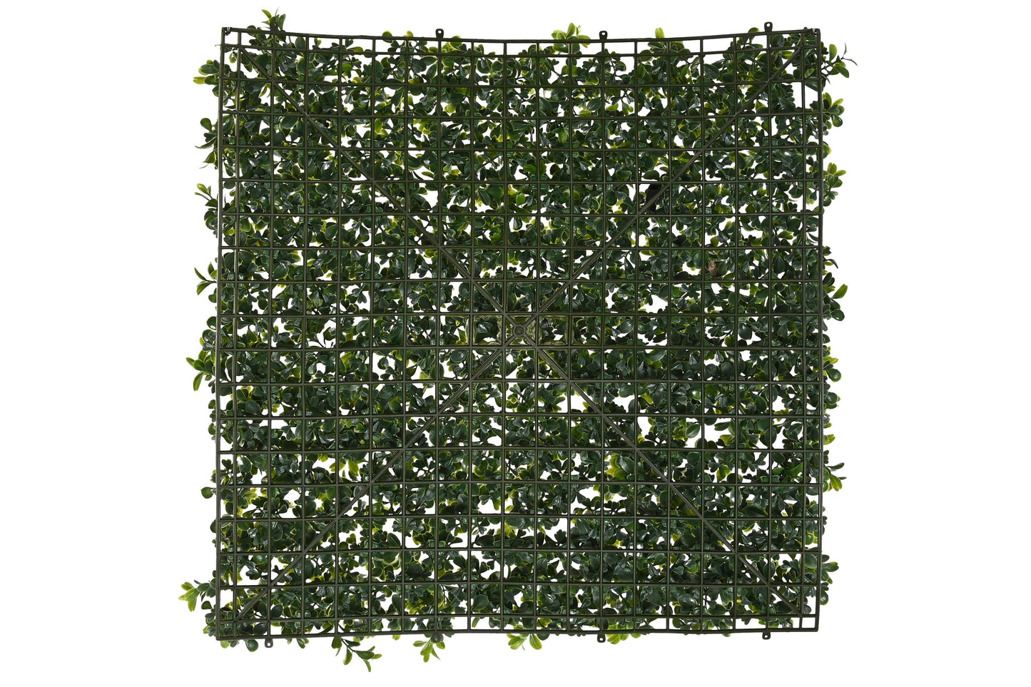 Jardin vertical pe 50*50*5cm uv verde