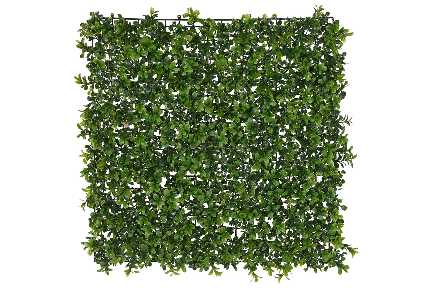 Jardin vertical pe 50*50*5cm uv verde