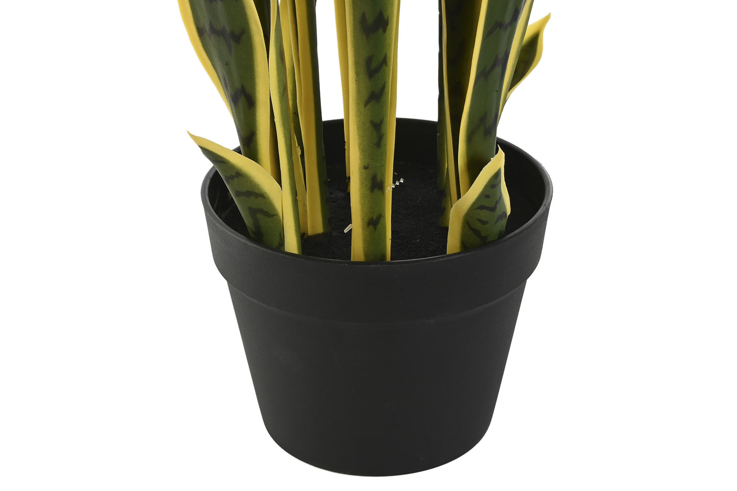 Planta pe pp 30*30*74cm sansevieria verde