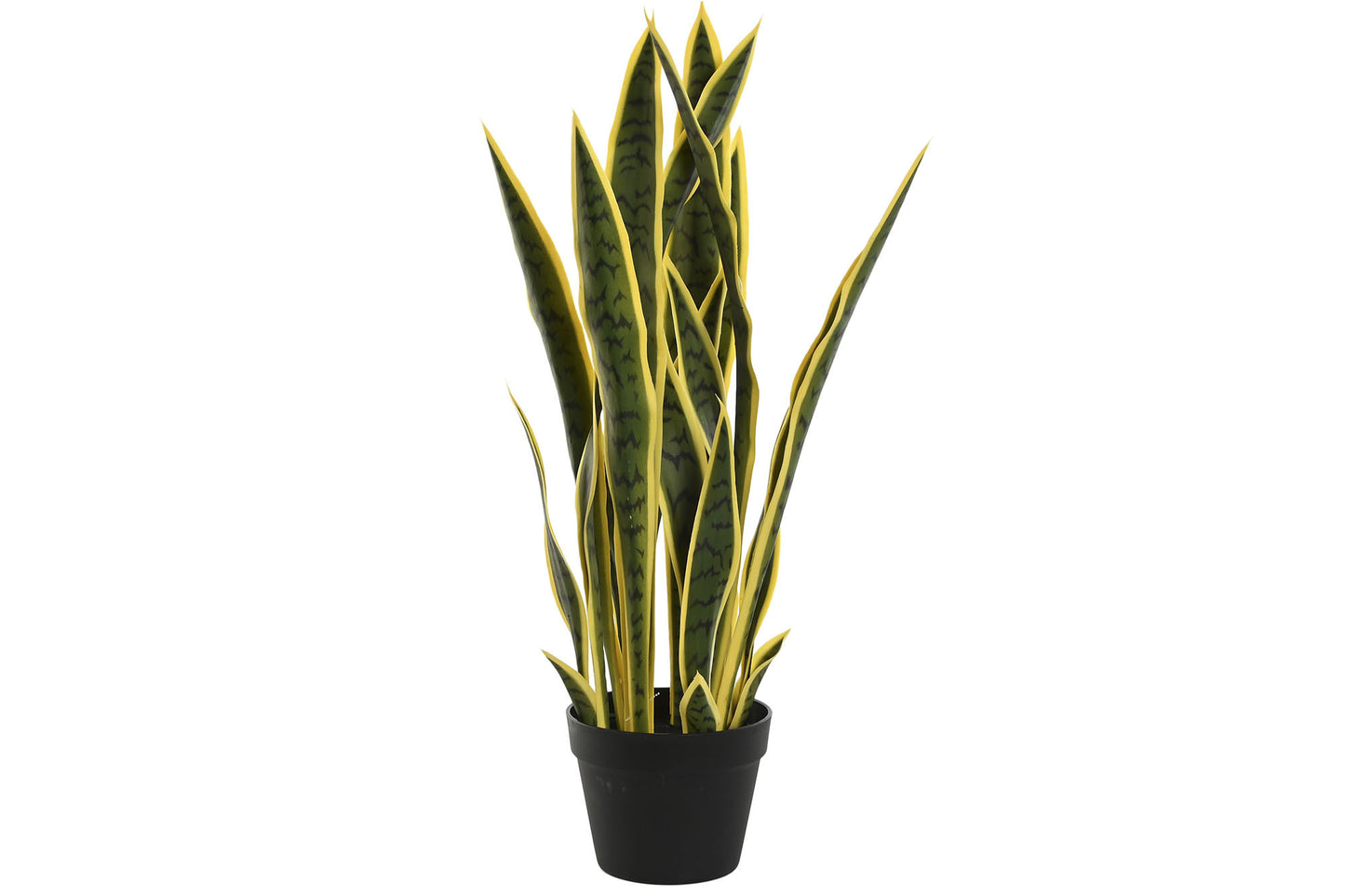 Planta pe pp 30*30*74cm sansevieria verde