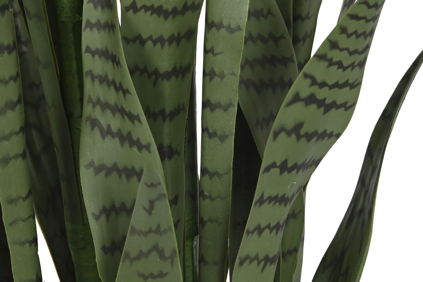 Planta pe pp 40*40*150cm sansevieria verde