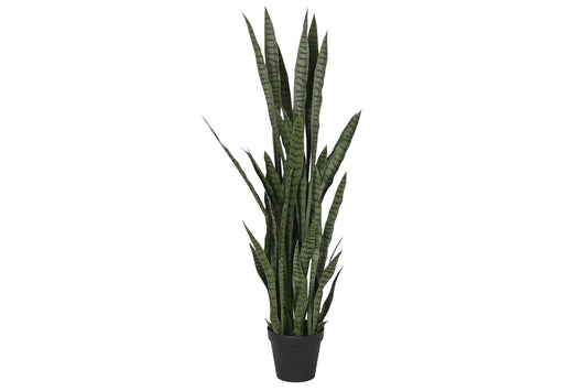 Planta pe pp 40*40*150cm sansevieria verde