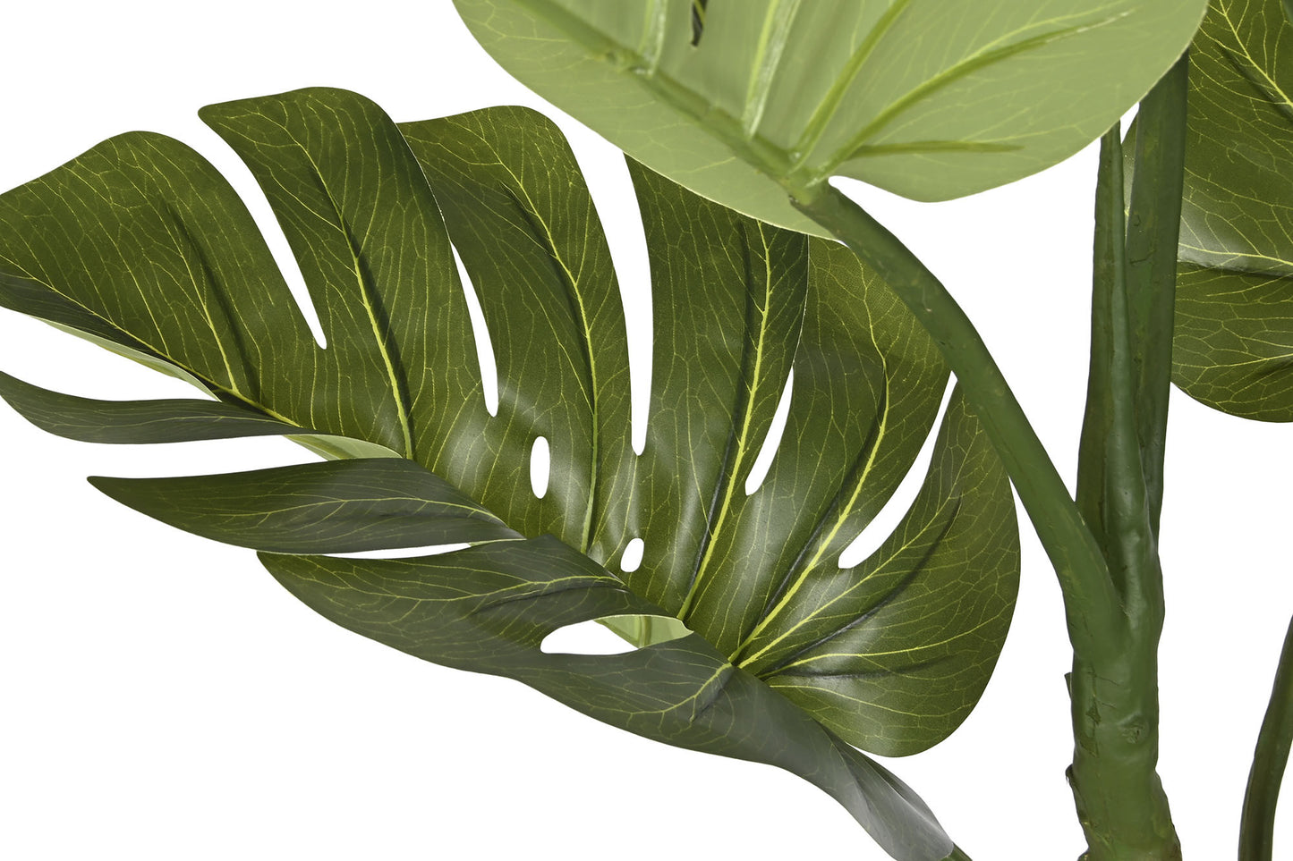 Planta 100*83*153cm monstera verde