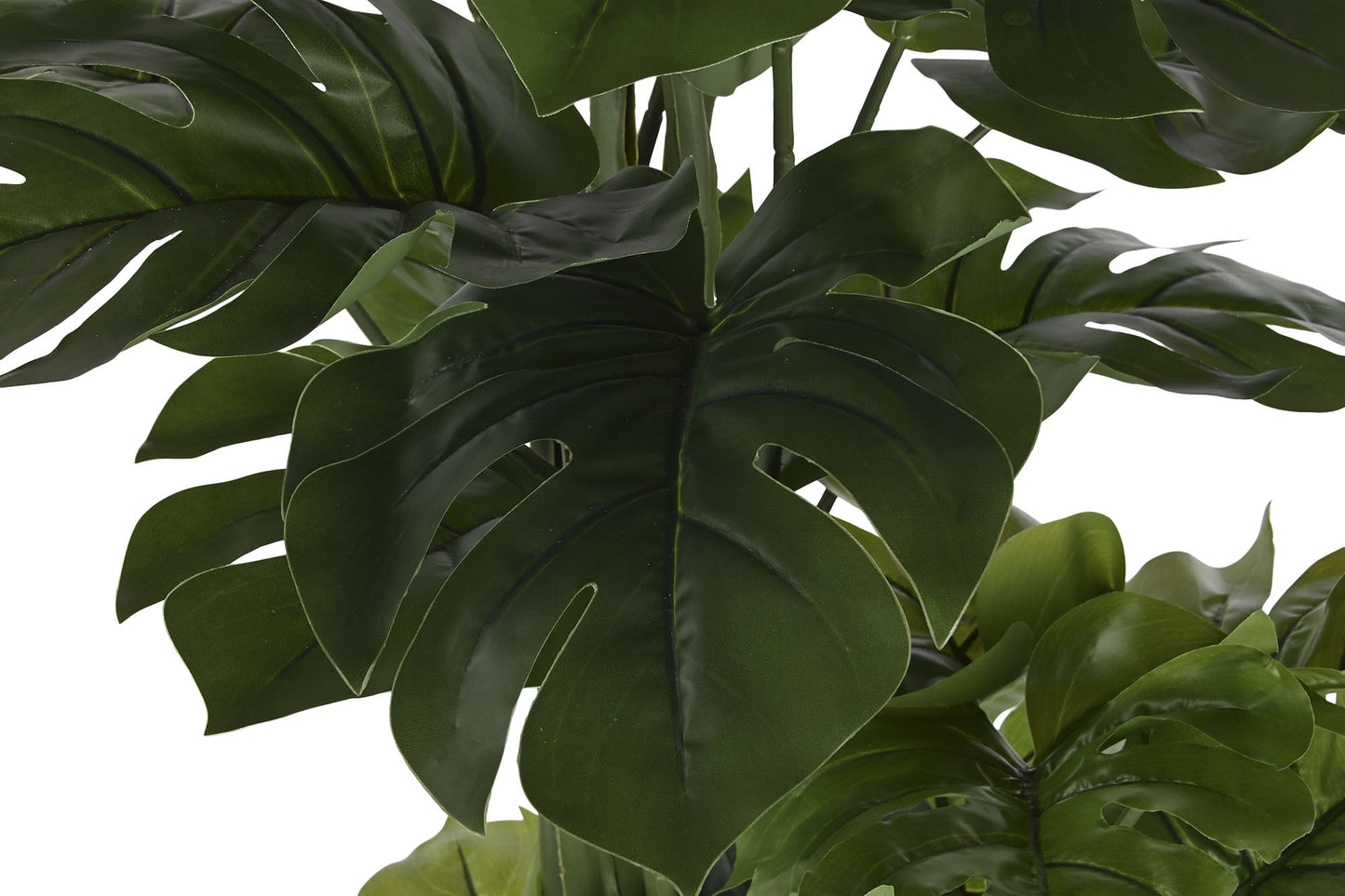 Planta 88*76*174cm monstera verde