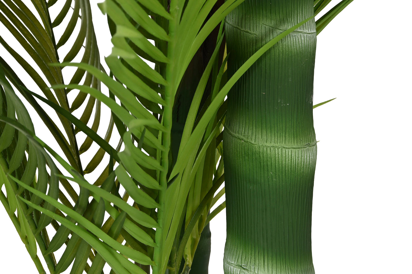 Planta pe cemento 100*100*235cm palmera verde