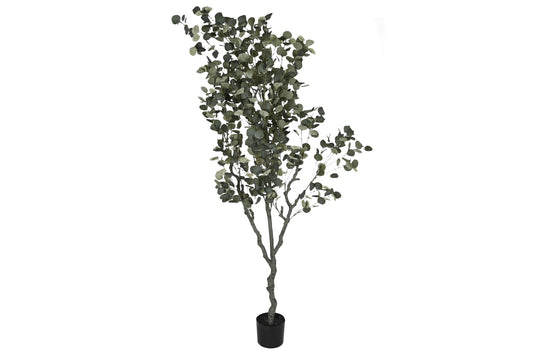 Arbol pe cemento 80*80*220cm eucalipto verde