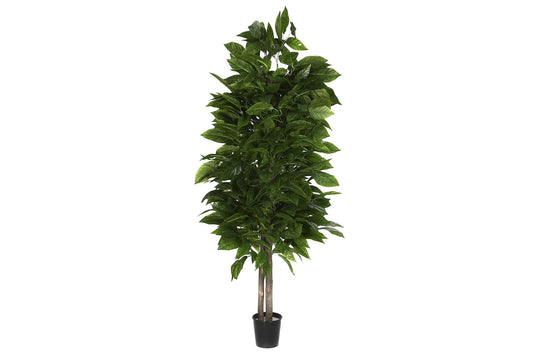 Arbol madera poliester 100*100*185cm mango verde